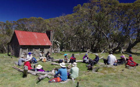 Auswalk Walking Holidays - Accommodation Mount Tamborine 18