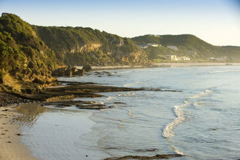 Auswalk Walking Holidays - Accommodation Mount Tamborine 50