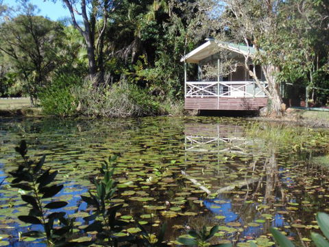 Darlington Beach NRMA Holiday Park - Accommodation Mount Tamborine 5