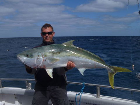 Reef Encounters Fishing Charters. - Accommodation Mount Tamborine 1