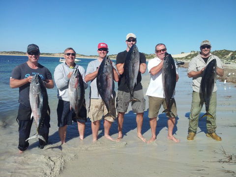 Reef Encounters Fishing Charters. - Accommodation Mount Tamborine 9