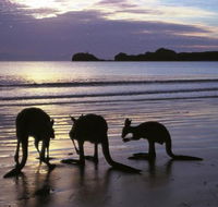 Beachcomber Cove Track - Accommodation Mount Tamborine