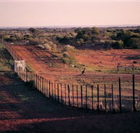 Tri State Safaris - Accommodation Mount Tamborine