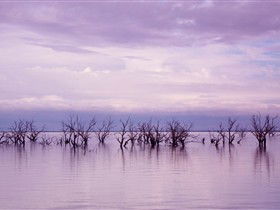 Tri State Safaris - Accommodation Mount Tamborine 8