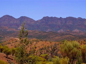Tri State Safaris - Accommodation Mount Tamborine 16