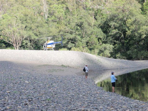 Fleet Adventures - Accommodation Mount Tamborine 16