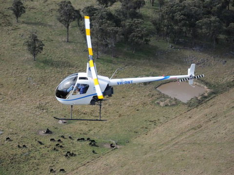 Fleet Adventures - Accommodation Mount Tamborine 19