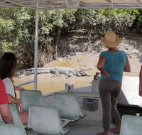 Whitsunday Crocodile Safari - Accommodation Mount Tamborine