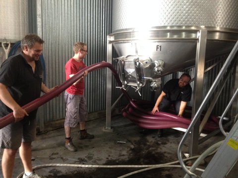 La Prova Wines - Accommodation Mount Tamborine 2