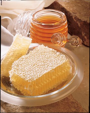 The Honey Place - Accommodation Mount Tamborine 1
