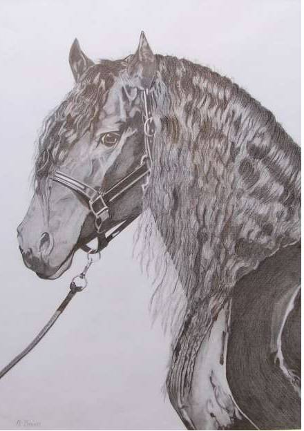 Great Lakes Art Society - Accommodation Mount Tamborine 0