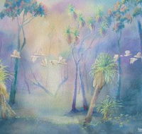Territory Colours - Accommodation Mount Tamborine