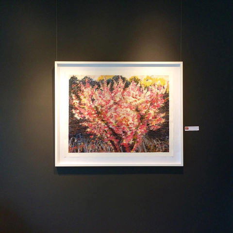 Gallery One - Accommodation Mount Tamborine 1