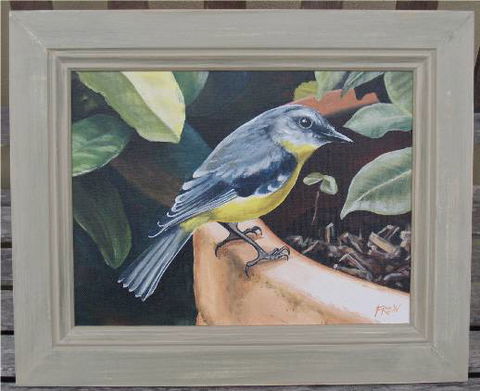 Frew Artworks - Accommodation Mount Tamborine 2