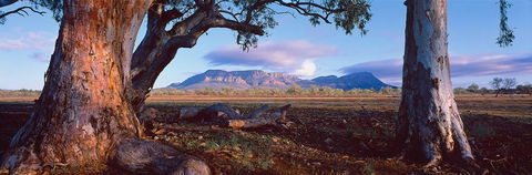 Nissarana Galleries Noosa - Accommodation Mount Tamborine 1