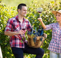 Two Tails Wines - Accommodation Mount Tamborine