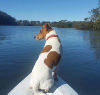 Australis Canoes  Kayaks - Accommodation Mount Tamborine