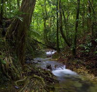 Trek North - Accommodation Mount Tamborine