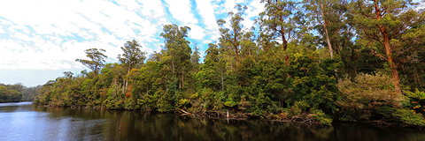 A R Reflections River Cruises - Accommodation Mount Tamborine 0