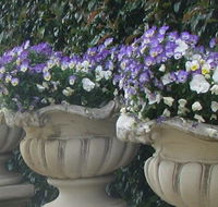 Gardenalia Open Garden and Rare Plant Nursery - Accommodation Mount Tamborine