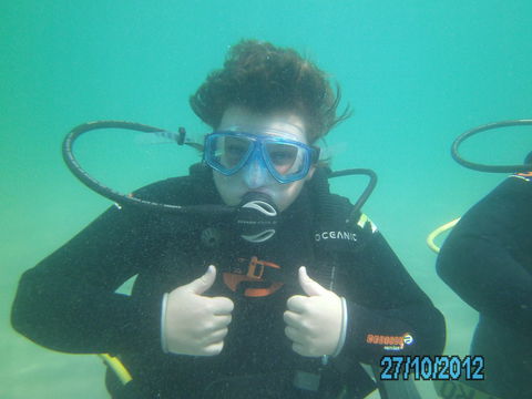 Rainforest Scuba - Accommodation Mount Tamborine 0