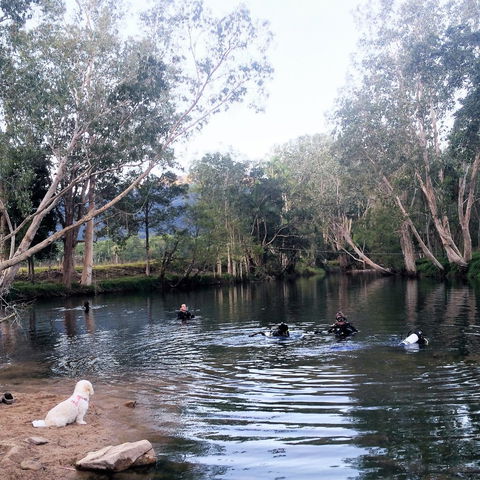 Rainforest Scuba - Accommodation Mount Tamborine 1