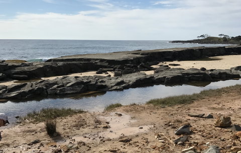 Yamba Tours And Charters - Accommodation Mount Tamborine 0