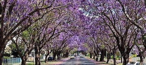 Yamba Tours And Charters - Accommodation Mount Tamborine 6