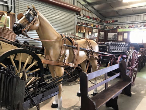 Yamba Tours And Charters - Accommodation Mount Tamborine 9