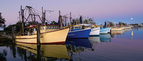 Yamba Tours And Charters - Accommodation Mount Tamborine 14