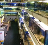 Clearwater Aquariums - Accommodation Mount Tamborine