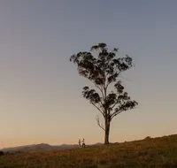 Faulls Ridge Winery - Accommodation Mount Tamborine