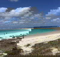 Abrolhos Island Half Day Fly and Flipper - Accommodation Mount Tamborine