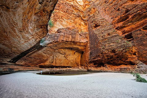 Bungle Bungle Scenic Flights, Domes & Cathedral Gorge Walk - Accommodation Mount Tamborine 2
