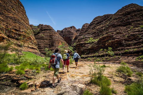 Bungle Bungle Scenic Flights, Domes & Cathedral Gorge Walk - Accommodation Mount Tamborine 4