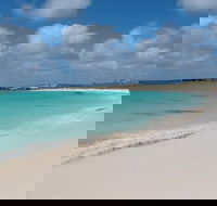 Pink Lake and Abrolhos Full Day Fly and Flipper - Accommodation Mount Tamborine