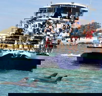 Mandurah Dolphin and Scenic Marine Cruise - Accommodation Mount Tamborine