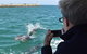 Mandurah Dolphin Island Adventure - thumb 0