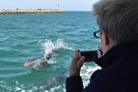 Mandurah Dolphin Island Adventure - Accommodation Mount Tamborine 0