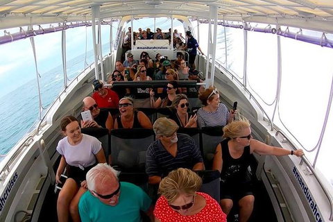 Mandurah Dolphin Island Adventure - Accommodation Mount Tamborine 1