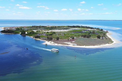 Mandurah Dolphin Island Adventure - Accommodation Mount Tamborine 8