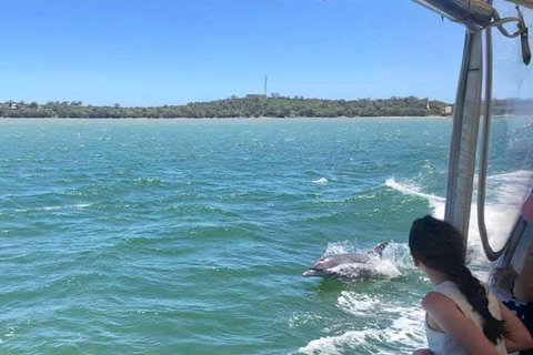 Mandurah Dolphin Island Adventure - Accommodation Mount Tamborine 9