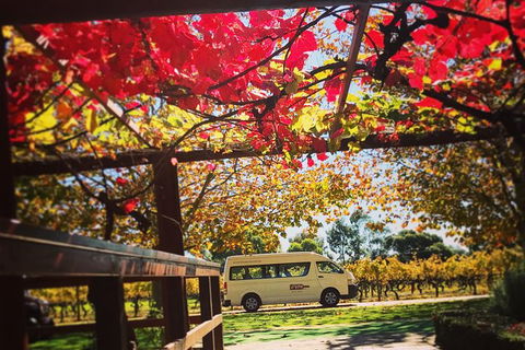 Ultimate Swan Valley Food And Wine Day Trip From Perth - Accommodation Mount Tamborine 12