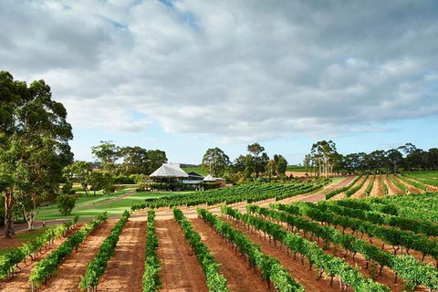 Vasse Felix Winery Tour And Tasting - Accommodation Mount Tamborine 0