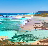 Rottnest Island Bayseeker Day Trip from Fremantle - Accommodation Mount Tamborine