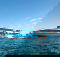 Rottnest Island Bike Snorkel  Ferry Package from Fremantle - Accommodation Mount Tamborine