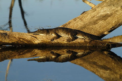 Lake Argyle Best Of Lake Argyle Cruise Departing Kununurra - Accommodation Mount Tamborine 1