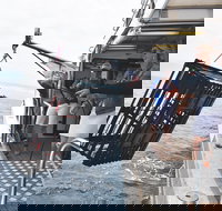 Rottnest Island Wild Seafood Package from Perth with Transfer - Accommodation Mount Tamborine