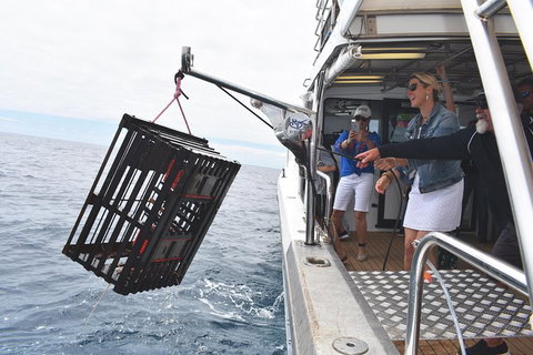 Rottnest Island Wild Seafood Package From Perth With Transfer - Accommodation Mount Tamborine 0