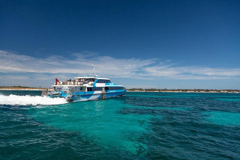 Rottnest Island Wild Seafood Package From Perth With Transfer - Accommodation Mount Tamborine 1
